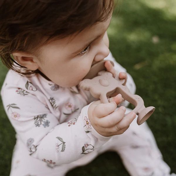 Koala Teethers