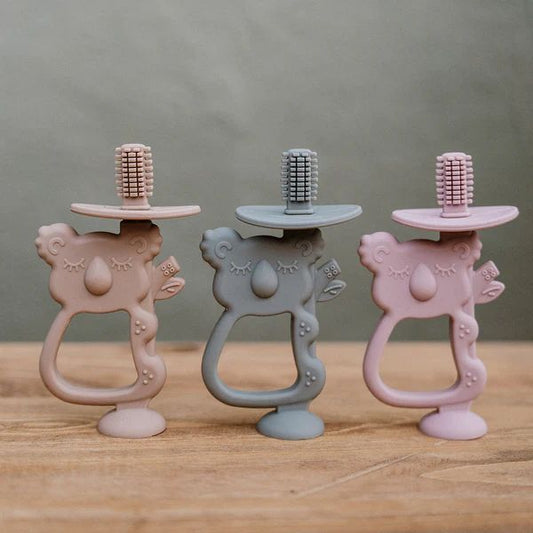 Koala Teethers